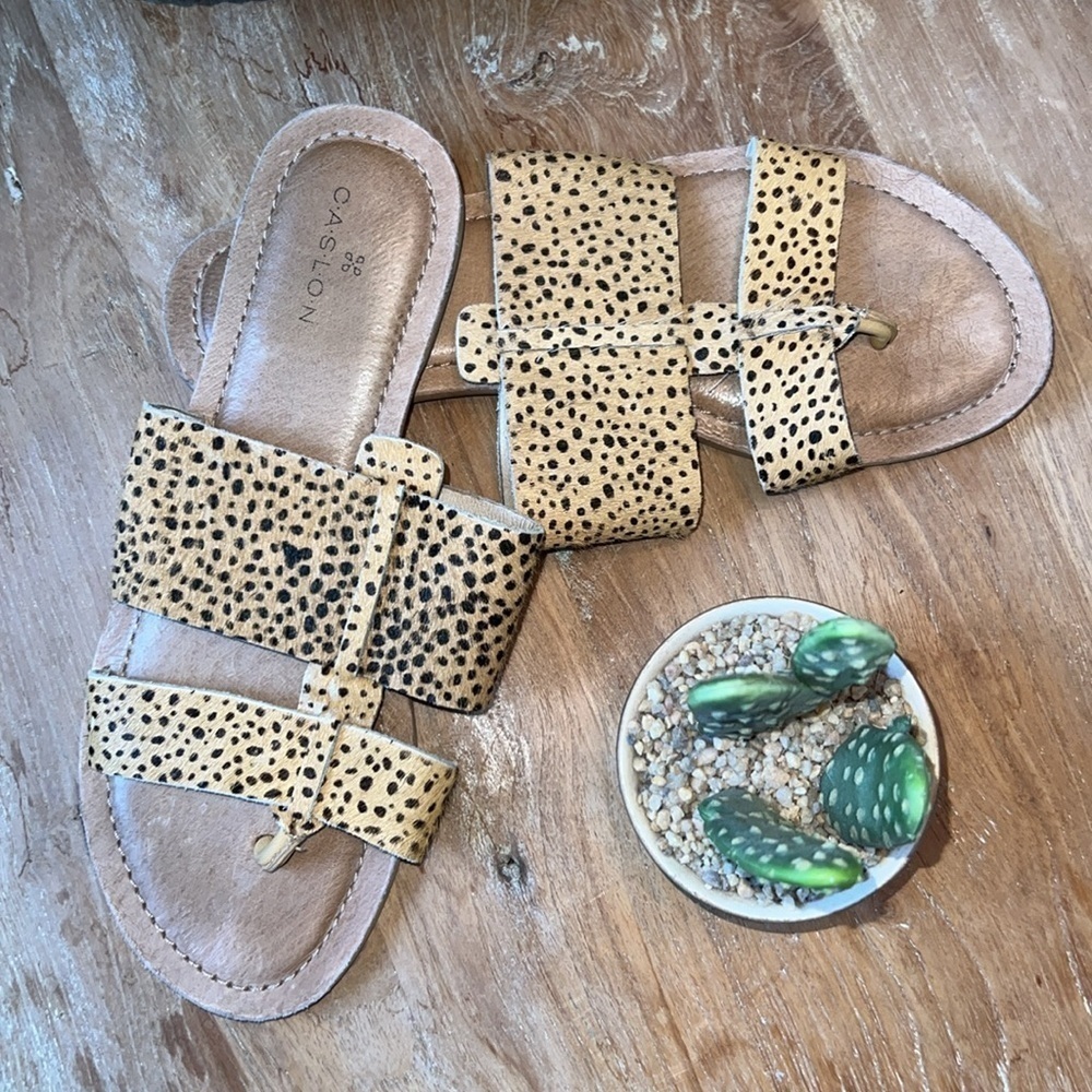 Caslon Mateo Genuine Calf Hair Slide Sandals | Leopard | Nordstrom | Size 7.5